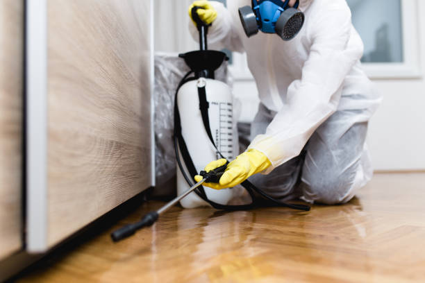 Best Commercial Pest Control Services  in Union City, CA