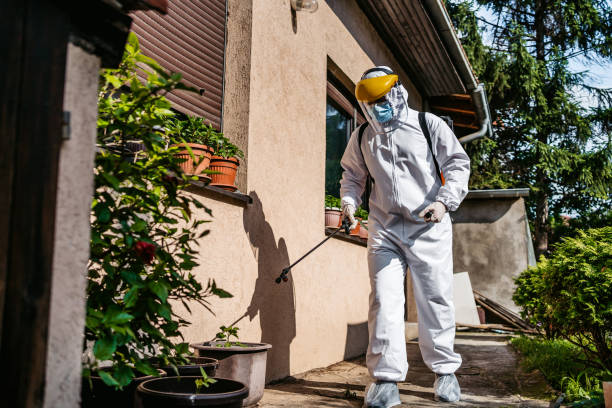 Best Affordable Pest Control Services  in Union City, CA