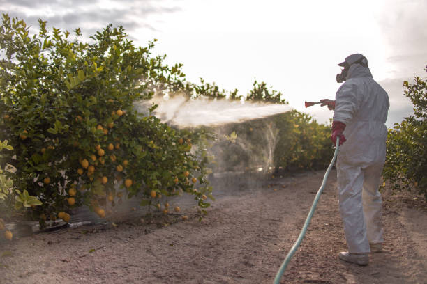 Best Best Pest Control Companies  in Union City, CA