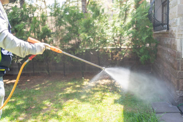 Best Wildlife Control Services  in Union City, CA
